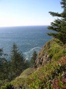 Cape Lookout 065 